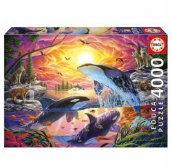 Educa 4000 db-os puzzle - Orkák és farkasok (20259)