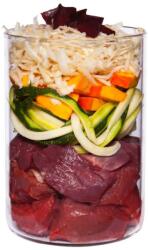 Terra Canis Grain-free Beef with courgette, pumpkin & oregano 200 g