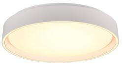TRIO Felis fehér LED mennyezeti lámpa (TRI-R64391031) LED 1 izzós IP20 (R64391031)