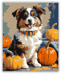  Mosolygó kiskutya tökökkel - számfestő készlet