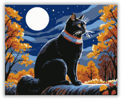  Őszi Holdfény Macskaszemmel - számfestő készlet