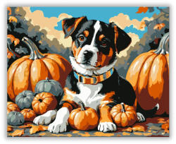  Őszi kölyökkutya tökök között - számfestő készlet