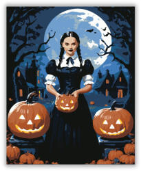  Holdfényes éjszaka titokzatos lánnyal - számfestő készlet