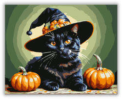  Halloweeni Macska Mágus - számfestő készlet