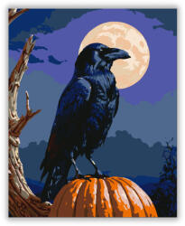  Holló és tök a holdfényben - számfestő készlet