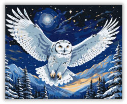 Éjkék Bagoly Röpte - számfestő készlet