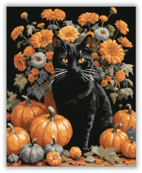  Őszi fekete macska és tökök virágok között - számfestő készlet