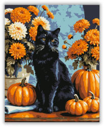  Fekete macska őszi tökök között - számfestő készlet