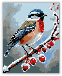  Téli Madárdal Harmóniája - számfestő készlet