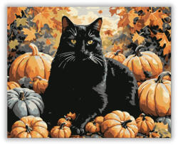  Fekete macska tökök között - számfestő készlet