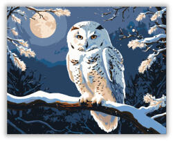  Éjjeli Bagoly Harmóniája - számfestő készlet