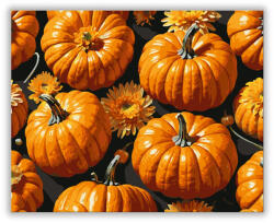  Tökök és virágok - számfestő készlet