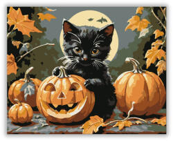  Cuki cica és Halloween tök - számfestő készlet