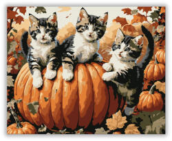  Kiscicák őszi tökök között - számfestő készlet