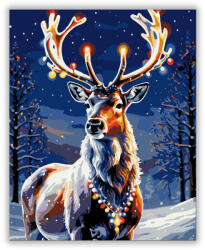  Fénylő Téli Csodák - számfestő készlet