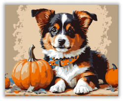  Őszi kiskutya tökökkel - számfestő készlet