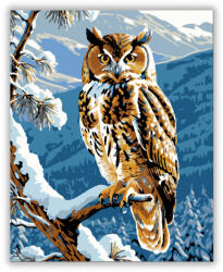  Bölcs Hegyi Bagoly - számfestő készlet