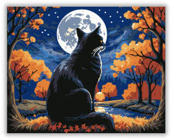  Őszi Éjszakák Mágus Macskája - számfestő készlet
