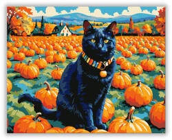  Fekete macska a tökmezőn - számfestő készlet