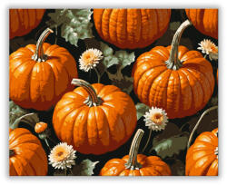  Őszi tökök és virágok - számfestő készlet