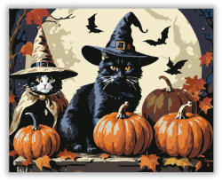  Boszorkányos Cicák - számfestő készlet