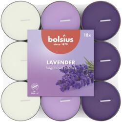 Bolsius Teamécses 18 Db Lavender Basic Háromszínű, Illatgyertyák