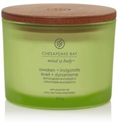 Chesapeake Bay Illatgyertya Chesapeake Bay Candle Awaken & Invirogate 3 Kanóc - gyertyakvilaga