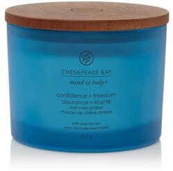 Chesapeake Bay Illatgyertya Chesapeake Bay Candle Confidence & Freedom 3 Kanóc - gyertyakvilaga