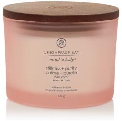 Chesapeake Bay Illatgyertya Chesapeake Bay Candle Stillness & Purity 3 Kanóc - gyertyakvilaga