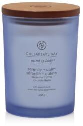 Chesapeake Bay Illatgyertya Chesapeake Bay Candle Serenity & Calm Közepes - gyertyakvilaga