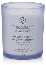 Chesapeake Bay Illatgyertya Chesapeake Bay Candle Serenity & Calm Kicsi - gyertyakvilaga