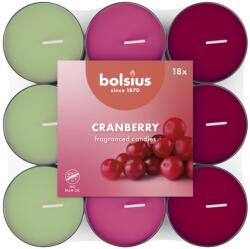 Bolsius Teamécses 18 Db Cranberry Basic Háromszínű, Illatgyertyák