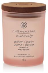 Chesapeake Bay Illatgyertya Chesapeake Bay Candle Stillness & Purity Kicsi - gyertyakvilaga