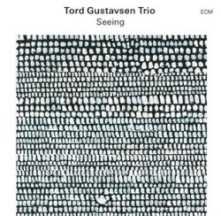 ECM Tord Gustavsen Trio - Seeing