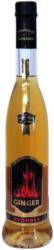 Pannonhalmi Pálinkárium Pannonhalmi Gyömbérlikőr [0, 5L|33%] - idrinks