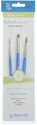 Princeton Artist Brush Selectartiste Multi-Technique Ecsetkészlet 3 db (P3750SET103)