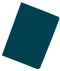 Exacompta Bemutatómappa Exacompta A/4 10 részes PP kék (8512E)