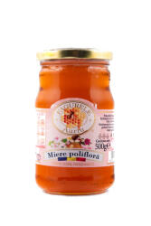 Fagurele Auriu Miere poliflora 500g (MPS500FA)