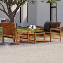 vidaXL Set mobilier de grădină cu perne, 3 piese, lemn masiv de acacia (3058099)