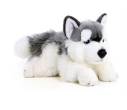 Rappa Elragadó plüss husky 30 cm