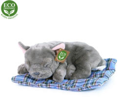 Rappa Plüss francia bulldog kölyökkutya 23 cm