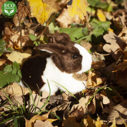 Rappa Puha plüss nyuszik húsvétra többféle színben 16 cm - Barna-fehér