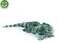 Rappa Leonard a hatalmas zöld leguán 70 cm