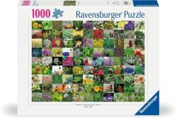 Ravensburger 1000 db-os puzzle - 99 gyógy- és fűszernövény (12000073) (12000073)