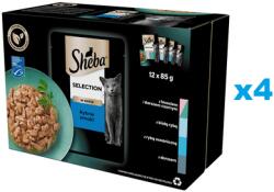 Sheba Selection Fish Flavours tasak 48x85 g nedves teljes értékű eledel felnőtt macskáknak szaftos szeletekben lazaccal és fekete tőkehallal, fehér halakkal, óceáni halakkal, tőkehallal
