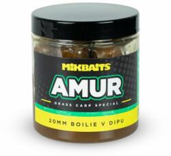 MIKBAITS Amur range - bojli in dip 20 mm (MC0101) - nextfish