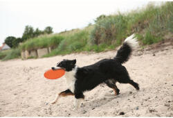 TRIXIE Játék Dog Disc Hőre Lágyuló (33506) - webshop