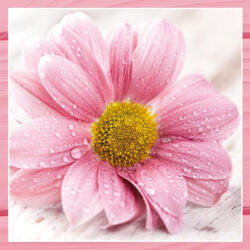  Ti-Flair Szalvéta 33 x 33 cm 3 Rétegű 20 lap/Csomag Candy Pink Flowers (AAC670)