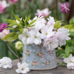  Ti-Flair Szalvéta 33 x 33 cm 3 Rétegű 20 Lap/Csomag White Crabapples In Vintage Vase (AAC794)