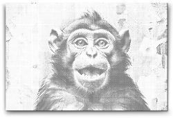  PontPöttyöző - Vidám majom Méret: 40x60cm, Keretezés: Keret nélkül (csak a vászon), Szín: Kék